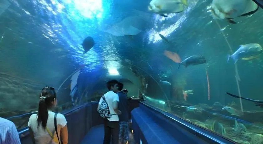 Vinpearl Discovery Rockside Nha Trang Vietnam